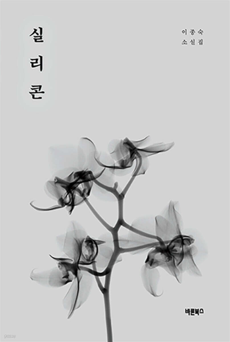 실리콘