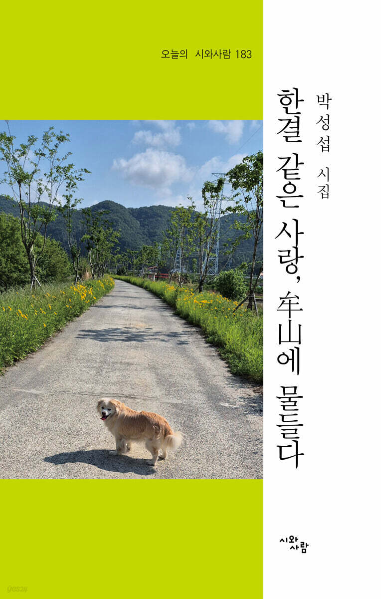 한결같은 사랑 모산에 물들다