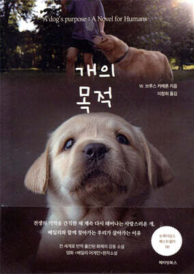 개의 목적