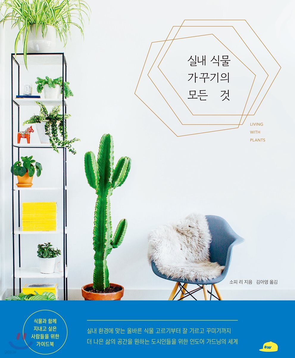 실내 식물 가꾸기의 모든 것