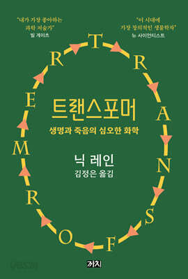 트랜스포머
