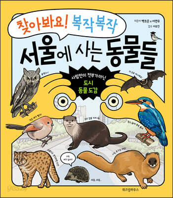 찾아봐요! 복작복작 서울에 사는 동물들