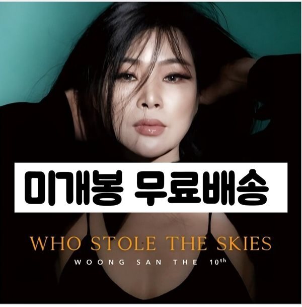 웅산 - 10집 Who stole the skies