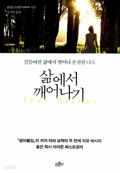 삶에서 깨어나기 - 길들여진 삶에서 벗어나 온전한 나로