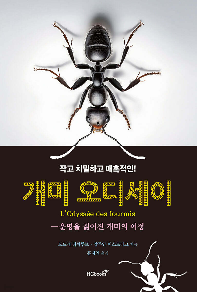 개미 오디세이