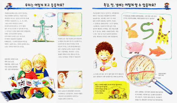 놀라운 인체의 신비