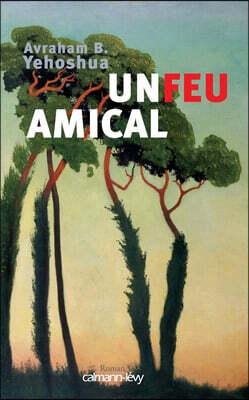 Un feu amical