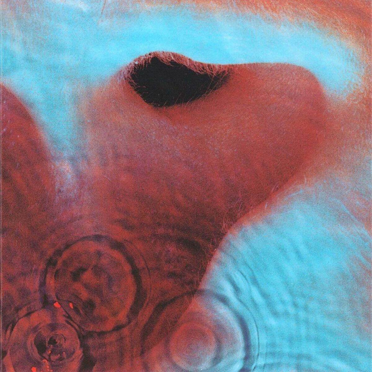 Pink Floyd (핑크 플로이드) - Meddle [오렌지 컬러 LP]