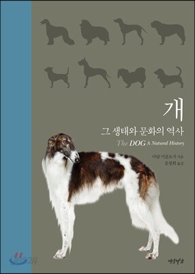 개