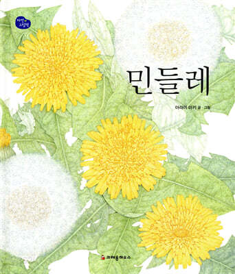 민들레