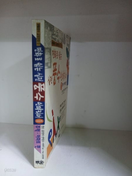만화로 읽는 실전 풍수 인테리어-주택. 아파트편