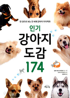 인기 강아지 도감 174