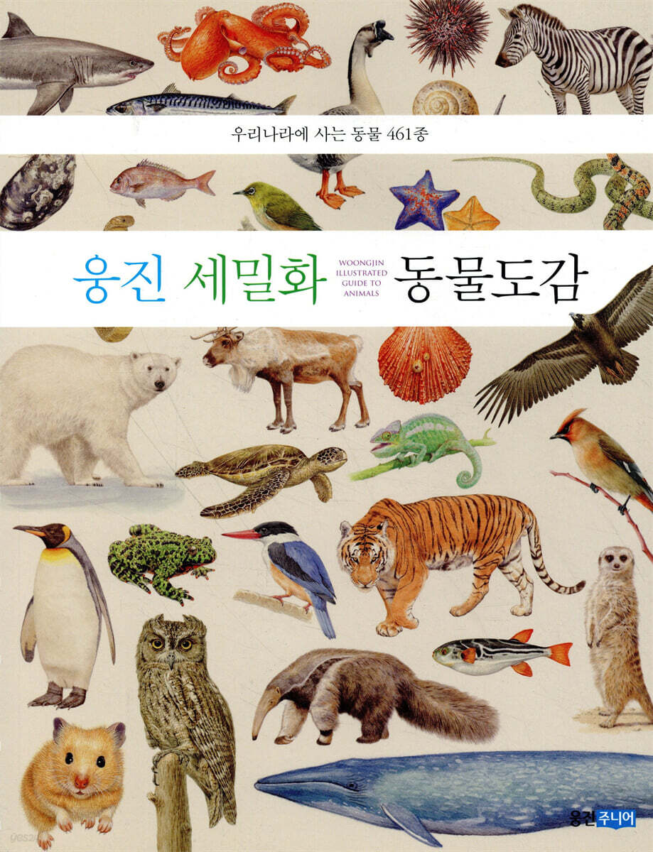 웅진 세밀화 동물 도감 (보급판)