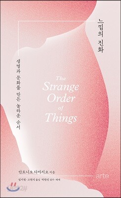 느낌의 진화