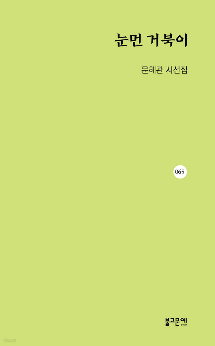 눈먼 거북이