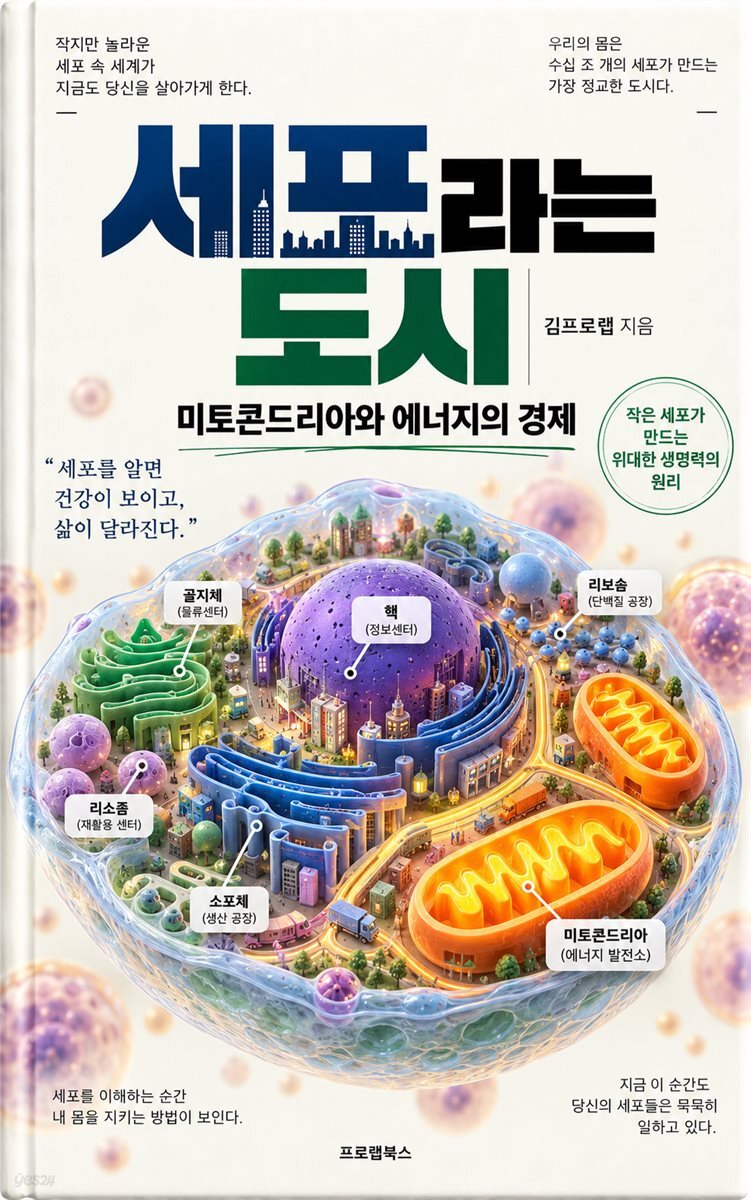 세포라는 도시