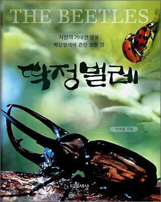 딱정벌레