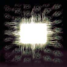 [EU 수입] Tool - Aenima