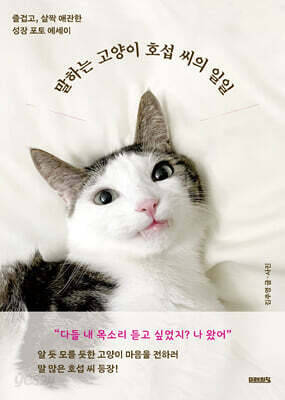 말하는 고양이 호섭 씨의 일일