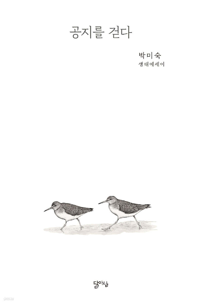공지를 걷다