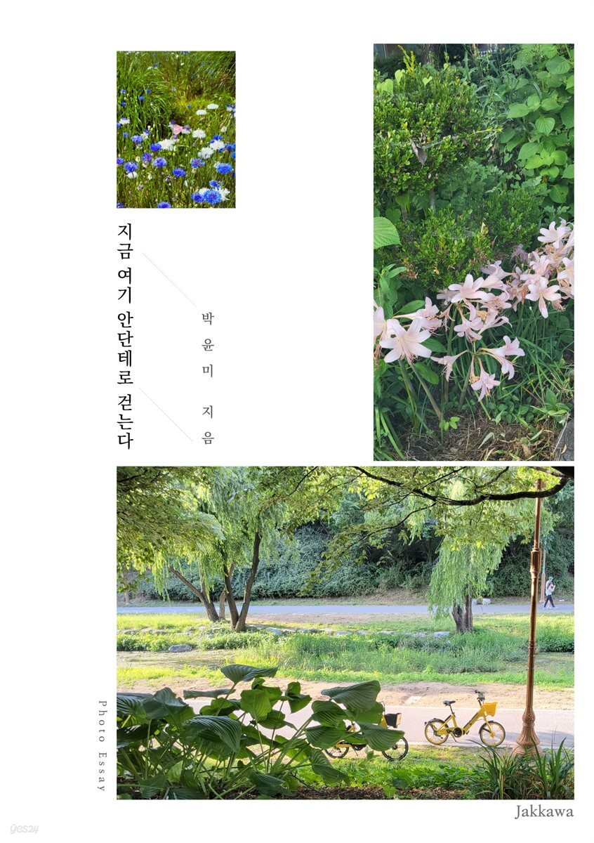 지금 여기 안단테로 걷는다