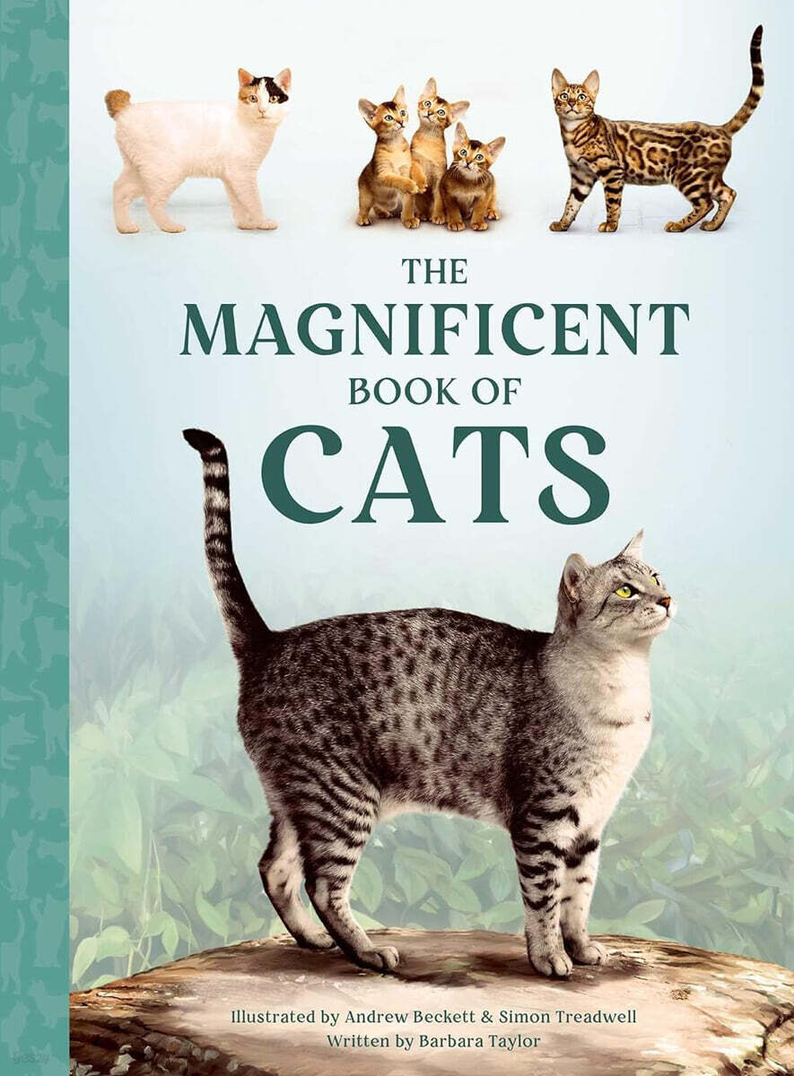 The Magnificent Book of Cats