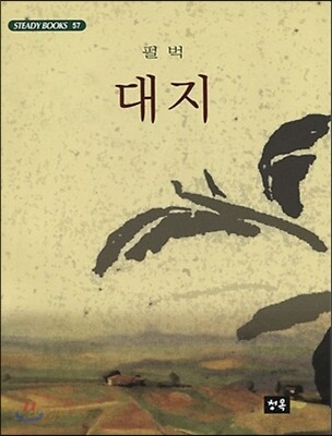 대지