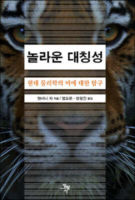 놀라운 대칭성 : 현대 물리학의 미에 대한 탐구