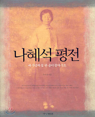 [중고-상] 나혜석 평전