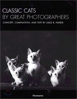 Classic Cats by Great Photographers