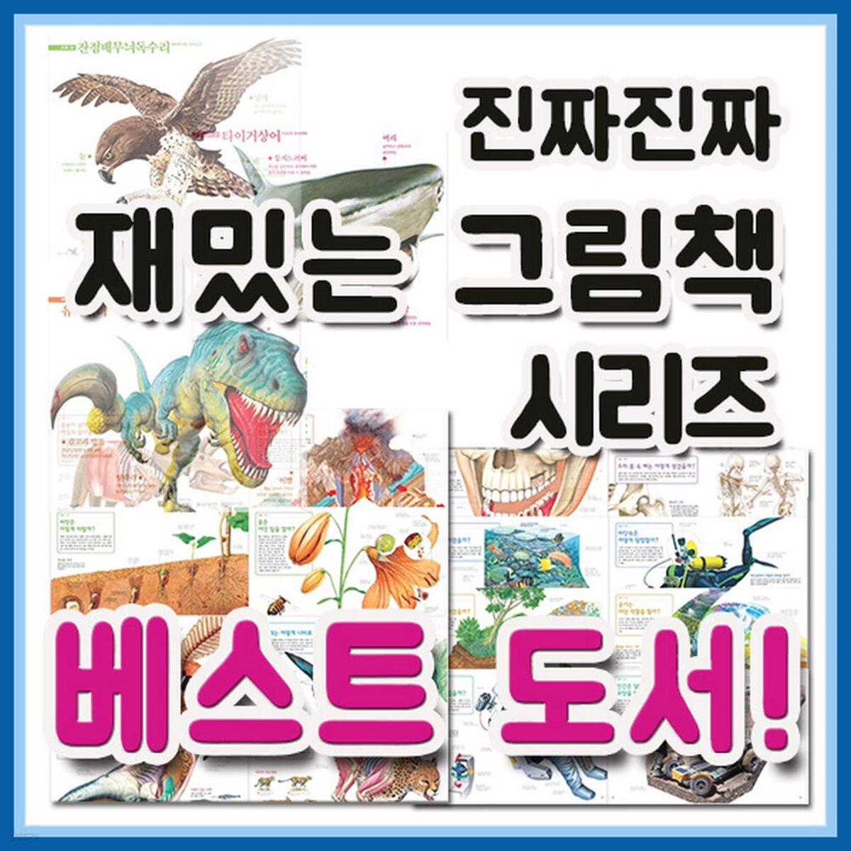 진짜진짜 재밌는 그림책 30권세트 (최신개정판)