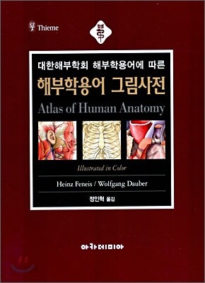 해부학용어그림사전