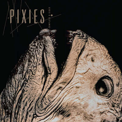 Pixies (픽시스) — Complete B Sides: 1988-97 앨범 커버