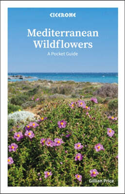 Mediterranean Wildflowers