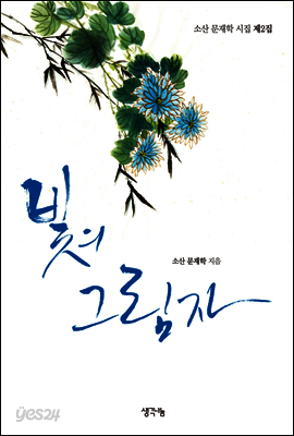빛의 그림자