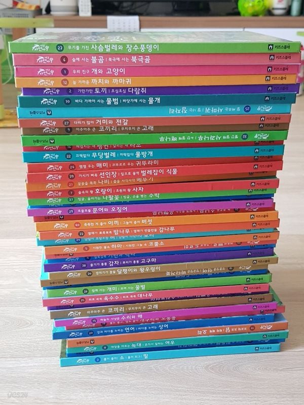 야호 자연아