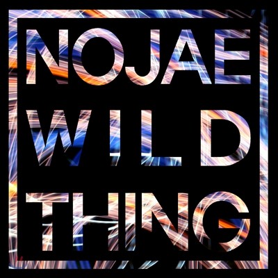  (Nojae) - Nojae's Wild Thing (罺 ϵ )