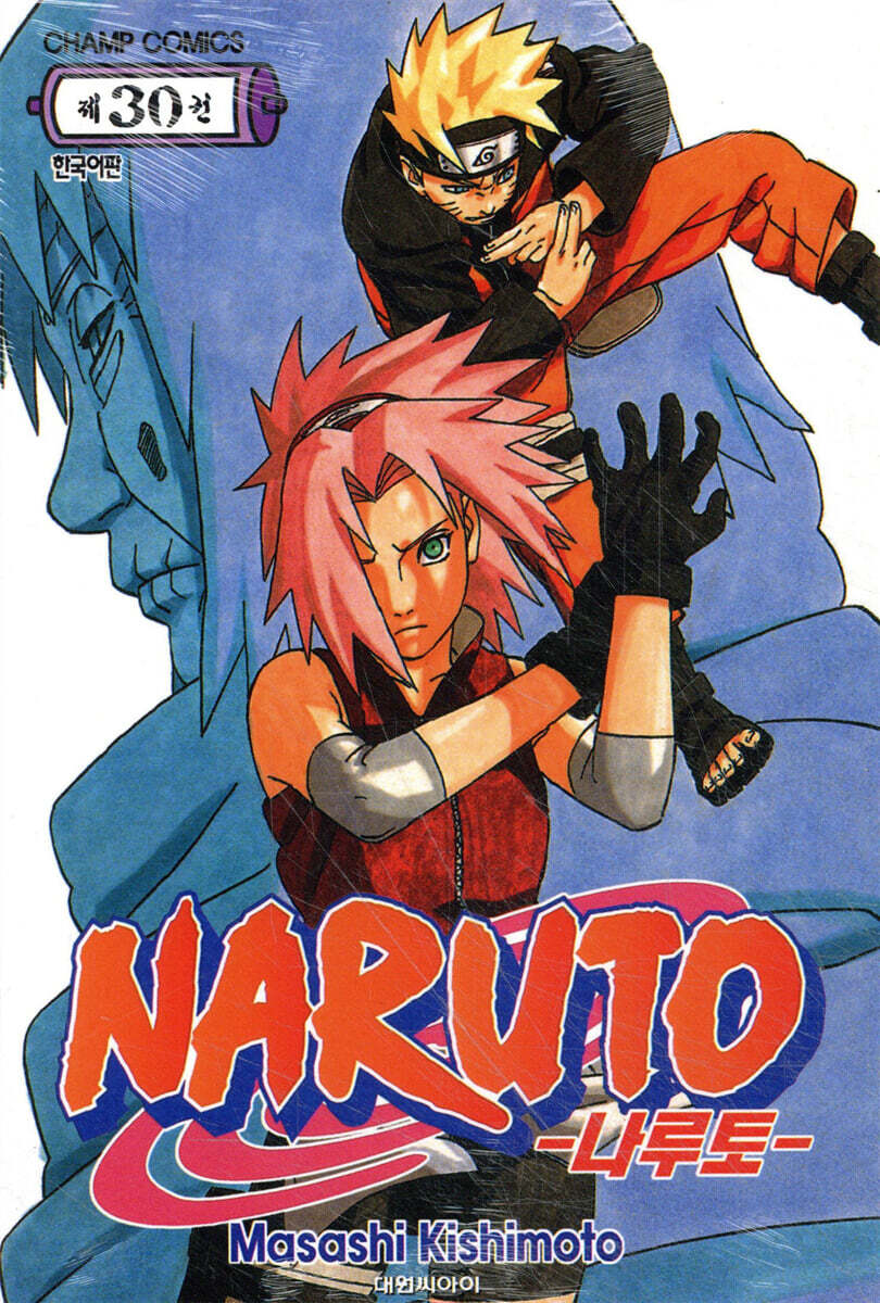 NARUTO 나루토 30