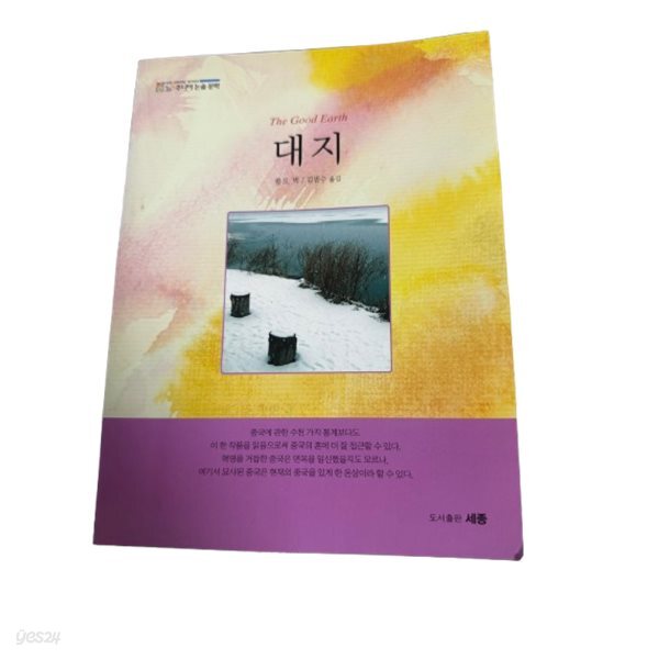 대지 (365주니어 논술 문학)