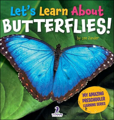 Let's Learn About Butterflies!: A First Look at Monarchs, Swallowtails, and Blue Morphos