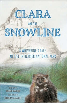 Clara and the Snowline: A Wolverine's Tale of Life in Glacier National Park