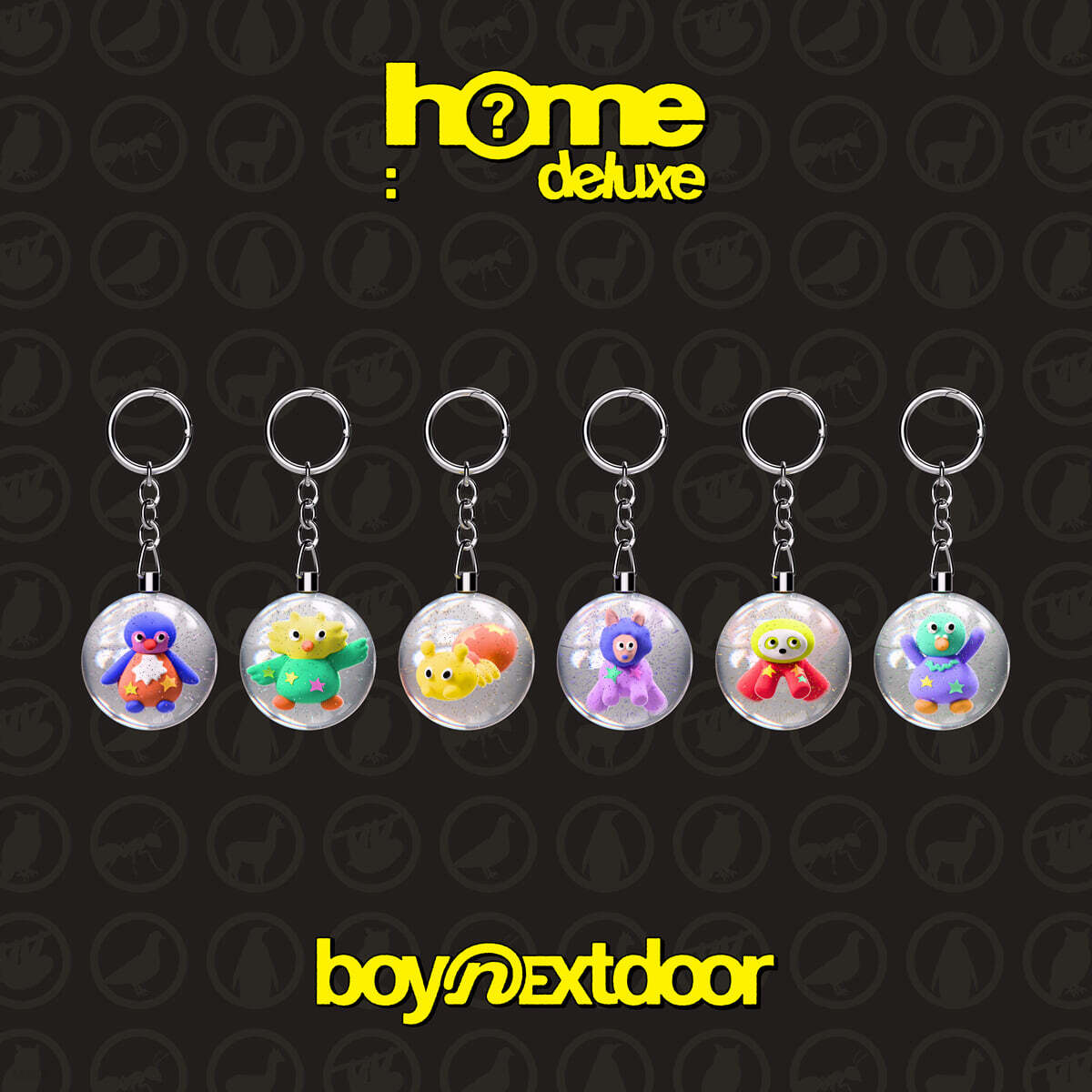 BOYNEXTDOOR (보이넥스트도어) - 1st Studio Album Repackage [HOME: DELUXE][SAFARI ver.][6종 중 1종 랜덤발송]