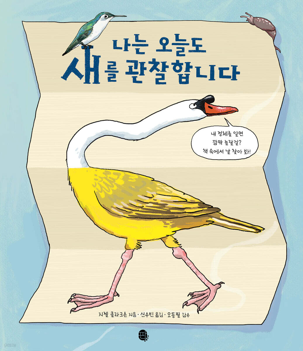 나는 오늘도 새를 관찰합니다