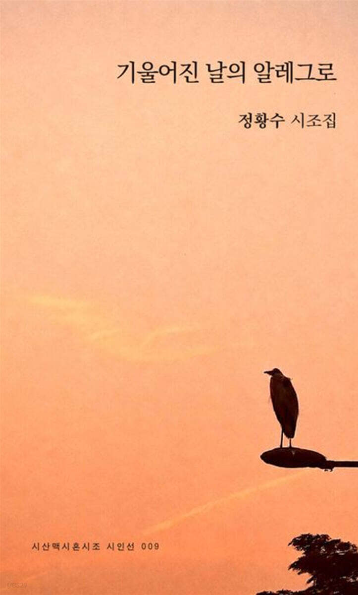 기울어진 날의 알레그로