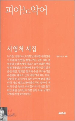 피아노악어
