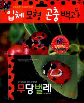 입체모형 곤충백과 : 무당벌레