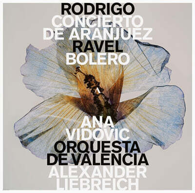 [LP]RODRIGO: CONCIERTO DE ARANJUEZ / RAVEL: BOLERO - ANA VIDOVIC — 로드리고: 아란후에스 협주곡 · 티엔토 안티구오 / 라벨: 볼레로 앨범 커버
