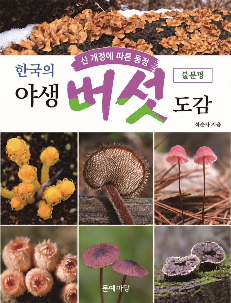 한국의 야생버섯 도감 불분명