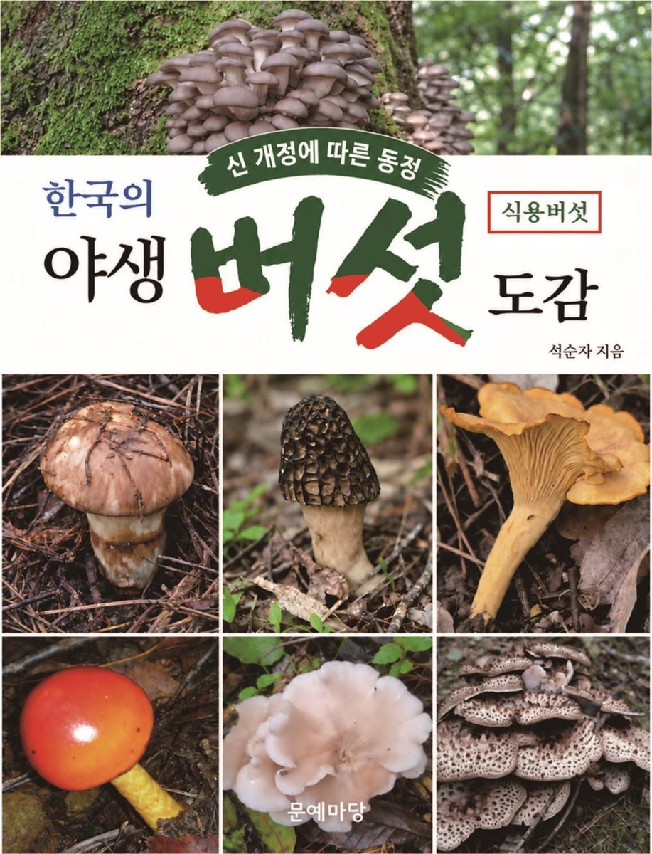 한국의 야생 버섯 도감 식용버섯