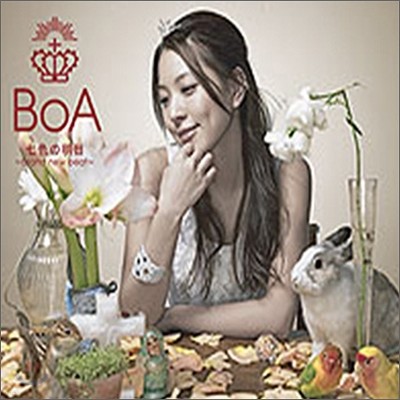 보아 (BoA) - 七色の明日～brand new beat～ / Your Color 포스터 패키지